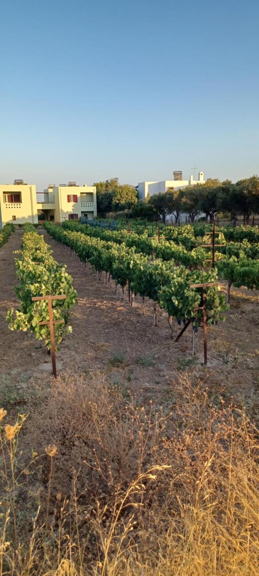 Vilana Studios Kalamos (Kythira) Exterior foto